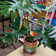 숏-으-8각화분.png Octagon + Random Voronoi Flower pot 🪴 Planter