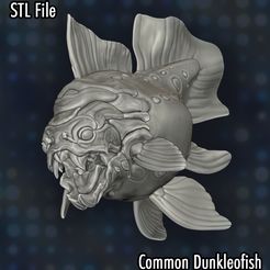 IMG_1232.jpg Common Dunkleofish