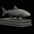 golden-dorado-statue-box-1-32.png fish golden dorado / Salminus brasiliensis with storage space / for 3d printing