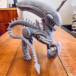 306782379_1152341815683063_7114835022968267923_n.jpg STL-Datei My Little Xeno pony xenomorph aliens・Modell zum Herunterladen und 3D-Drucken