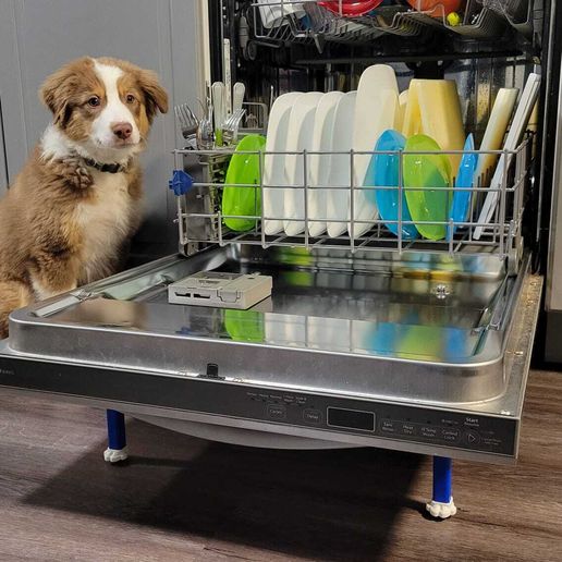 K9 Dishwasher Rinse System! - Cults3D 3D Model | 3Drop