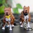 2.jpg PitBull Dog Flexi_Print_In_Place