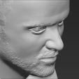 jesse-pinkman-breaking-bad-bust-ready-for-full-color-3d-printing-3d-model-obj-stl-wrl-wrz-mtl (42).jpg Jesse Pinkman Breaking Bad bust 3D printing ready stl obj