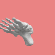 20.png SKELETON OF THE RIGHT FOOT 3D SEGMENTED