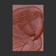 macaws-head-13.jpg relife carving of c macaw head