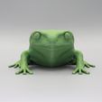 Green-tree-frog-Hd-front.jpg Зеленая древесная лягушка HD
