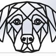 p17E.jpg PERRO GEOMETRICO