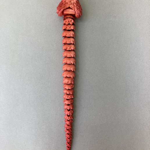 IMG_1017.jpg Biting snake