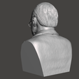 Carl-Jung-4.png 3D Model of Carl Jung - High-Quality STL File for 3D Printing (PERSONAL USE)