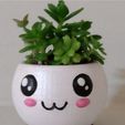kawaii-con-planta.jpg cute pots (kawaii pots) 3 units