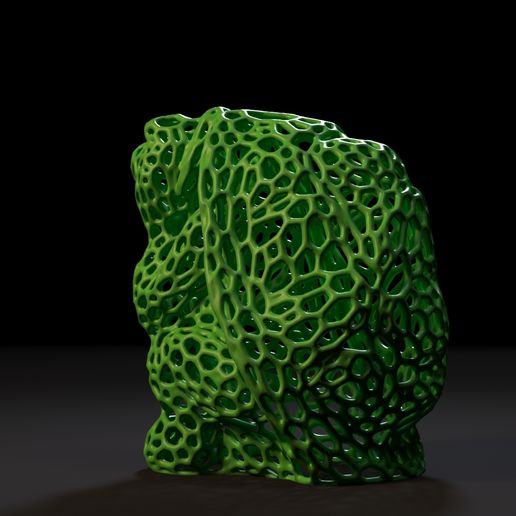 10002.jpg Черепаха Вороного