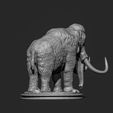 Manmoth_elephant04.jpg Mammoth Elephant