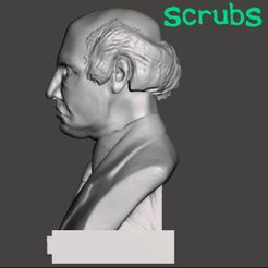 IMG_20190628_093713 (4).jpg Archivo STL El modelo impreso en 3D del abogado Ted Buckland de Scrubs・Diseño de impresora 3D para descargar