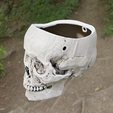 skull-plant-pot-blender-render-2.png Skull plant pot