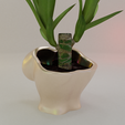 0047.png Boob Flower Pot Planter Box