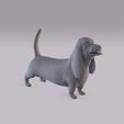 Basset_0005.jpg Dogs bundle