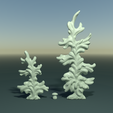 two_firtree-signature.png Two fir trees