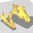 Screenshot-2025-03-07-182453.png wolf skull