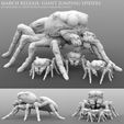 Giant Jumping Spider Patreon Release.jpg Giant Jumping Spiders