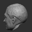 z4699771380049_27cbbe8db4eb6e0902a1fb736bc4151b.jpg Sir Alex Ferguson HEAD WITH HAIR 3D STL FOR PRINT