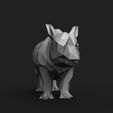 1.11.jpg Rhino