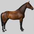 Realistic-Horse.png Реалистичная лошадь
