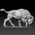 ZBrush3.jpg buffalo