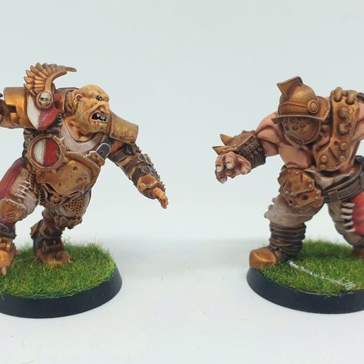 20220807_150044.jpg Звездный игрок Огр