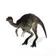 77videooo.jpg DOWNLOAD Dinogall 3D MODEL ANIMATED - BLENDER - 3DS MAX - CINEMA 4D - FBX - MAYA - UNITY - UNREAL - OBJ -  Animal & creature Fan Art People Dinogall Dinosaur Gallimimus Gallimimus Aquilamimus Archaeornithomimus