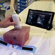 1.jpg Anatomical Femoral Artery Cannulation Simulator for Ultrasound Guidance