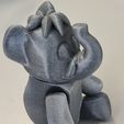 flexi mammoth