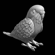 2023-10-04_22-25.png Budgie