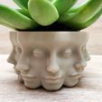 Face-planter-Pot-with-drainage-4.jpg STL file Face planter Pot with drainage・3D printer model to download
