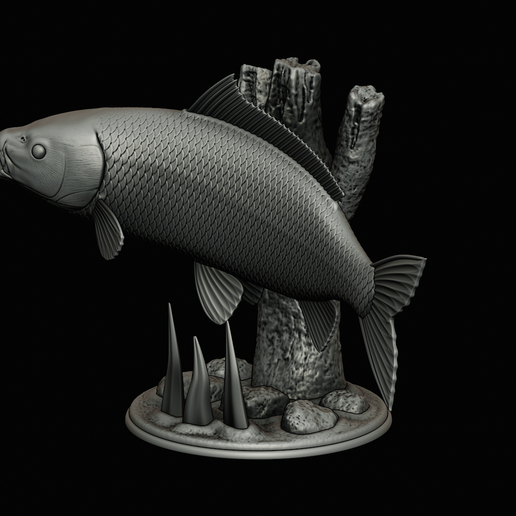 🎏 CARPA COMÚN (CYPRINUS CARPIO) trofeo pez en movimiento escultura ...