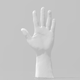 Mano a 2.png 3d Hand