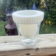 IMG_3159.jpg 🌱 Mason Jar Plant Propagation Insert