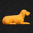 2638-Bracco_Italiano_Pose_09.jpg Bracco Italiano Dog 3D Print Model Pose 09