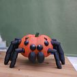 1000019224.jpg Spinne Kürbis Halloween Dekoration - Niedlich gruselig kawaii