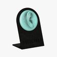 474af091-1e0b-4441-a4e5-d352be6d27aa.jpg STL file soporte earrings / Earring stand・3D printing template to download