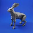 hare_square_2.jpg The Fabled Hare (A 3D Printed Ball-jointed Doll)