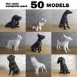 cults-Fotos-Pack-3.jpg PACK LOW POLY DOGS - 50 MODELS - THE MOST COMPLETE - COMMERCIAL LICENSE