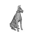 cats.jpg Doberman Doberman