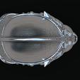 Scene1.4650.png Leonis Conqueror Helm