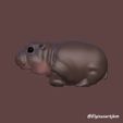 happy-side.jpg BABY HIPPO, MOO DENG