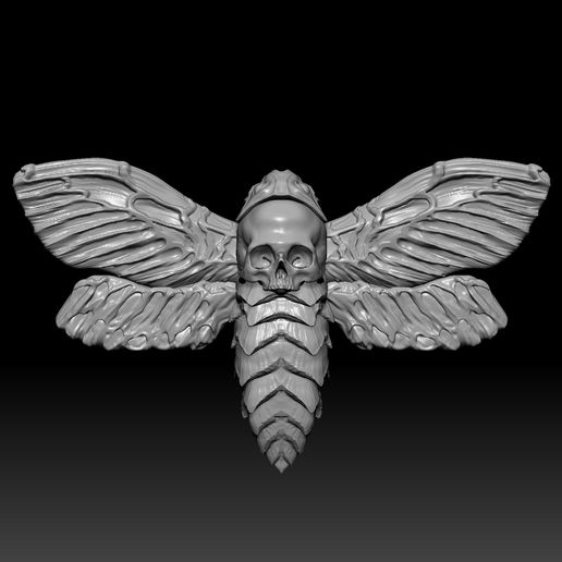 a.jpg Death's Head Hawk Moth