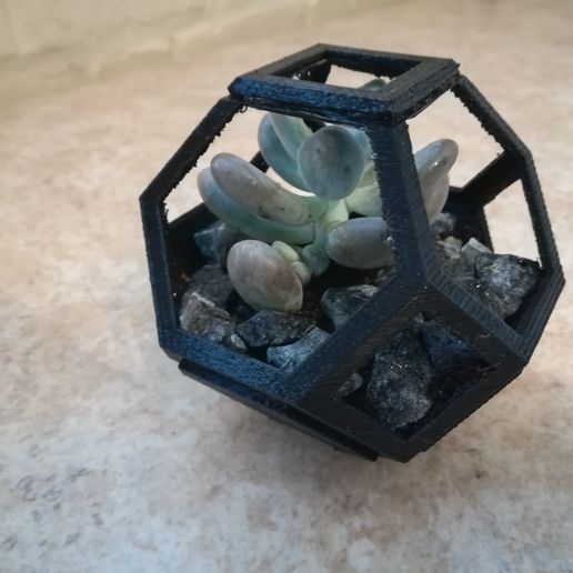Plantygon - Modular Geometric Stacking Planter for Succulents
