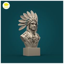 a.jpg Native American Bust