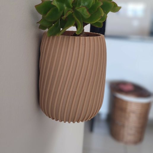 IMG_20231216_175414~2.jpg Wall mounted planter MODULAR Spiral design