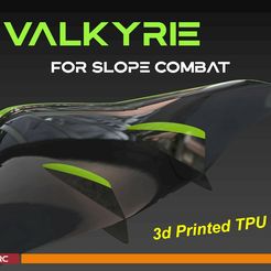 cover_official_2.jpg VALKYRIE - A TPU FLYING WING (Manual and Test File)