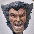 1000027023.jpg Tête de Wolverine Logan